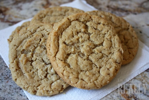 oatmeal peanut butter cookie