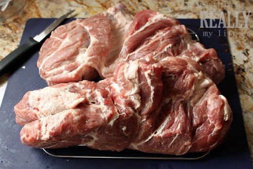 How To Shred Pork In A Food Processor Youtube How To Shred Pork In A Food Processor Youtube