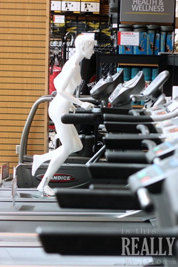 scheels exercise equipment