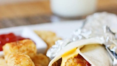 Copycat Sonic Ultimate Meat and Cheese