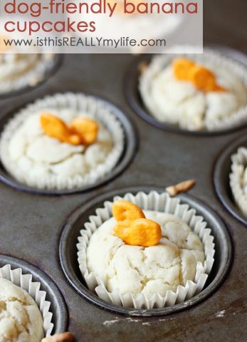 Banana cupcakes for dogs