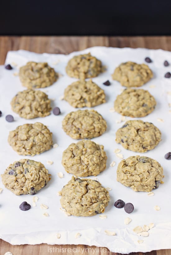 Pumpkin Chocolate Chip Bars With Spice Cake Mix Pumpkin Chocolate Chip Bars With Spice Cake Mix