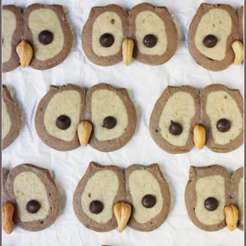 The most adorable and easiest owl cookies ever! Always a hit at holiday parties and with the kids!