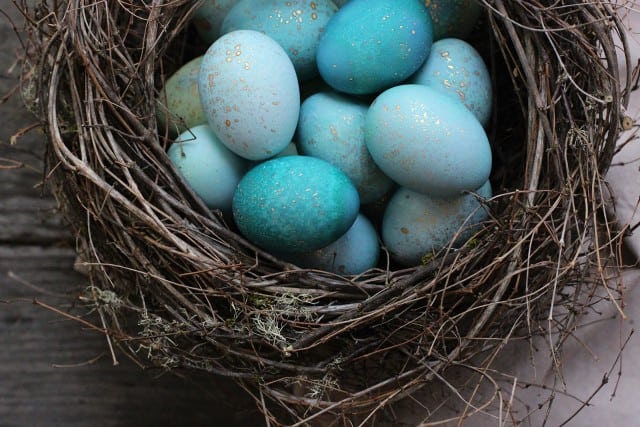 DIY dyed robin eggs