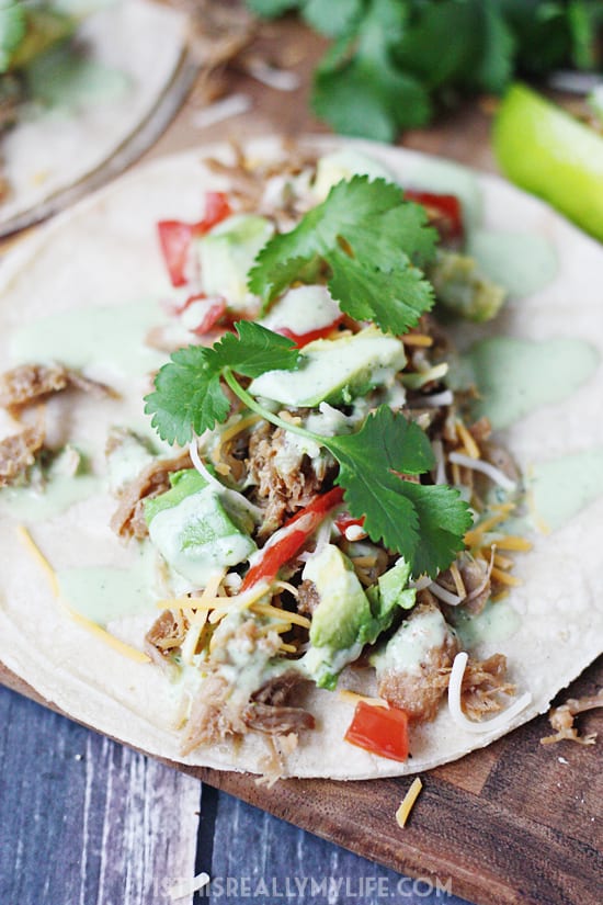 Pressure Cooker Cafe Rio Pork Tacos -- I took our favorite slow cooker Cafe Rio pork and converted it into an equally scrumptious pressure cooker Cafe Rio pork. Do not forget the creamy cilantro dressing! | halfscratched.com