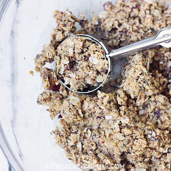 Easy PB&J Protein Balls -- PB&J protein balls are perfect for PB&J lovers looking for a healthy, protein-packed snack thanks to creamy peanut butter and diced dried strawberries. | halfscratched.com