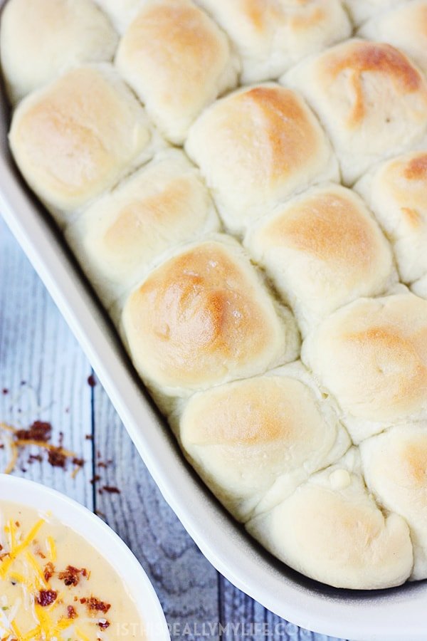 One-hour dinner rolls are the perfect addition to your weeknight meal. They're light, fluffy and take about ⅓ the time of traditional rolls! | halfscratched.com