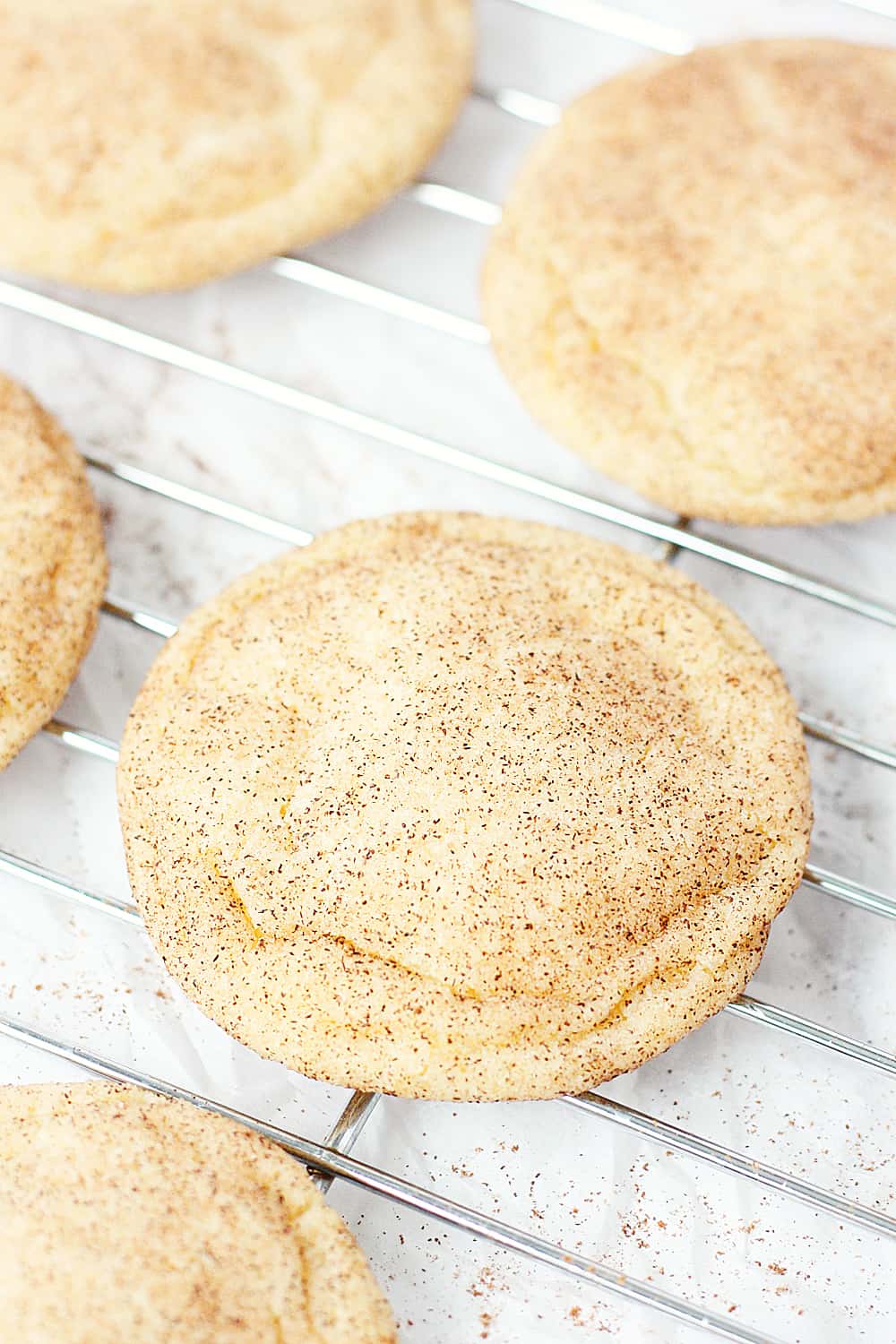 Best Ever Snickerdoodle Recipe -- I'm not lying when I say these this is the best ever snickerdoodle recipe. Soft and chewy on the inside, slightly crisp on the edges and packed with cinnamon sugar flavor. | halfscratched.com