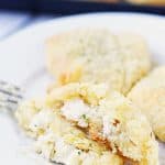 Creamy Chicken Crescent Rolls -- Creamy chicken crescent rolls are a family favorite. Flaky crescent roll dough is filled with a creamy chicken mixture and topped with melted butter and seasoned bread crumbs. Plus you can freeze the leftovers! | halfscratched.com #recipes #easyrecipe #chicken