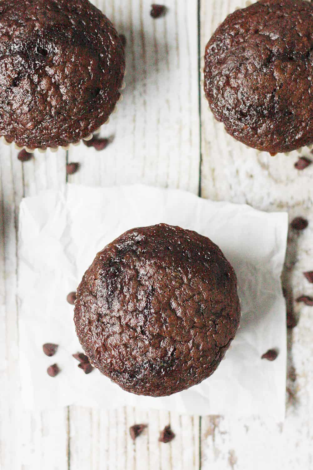 EASY Double Chocolate Zucchini Muffins from the top close-up.