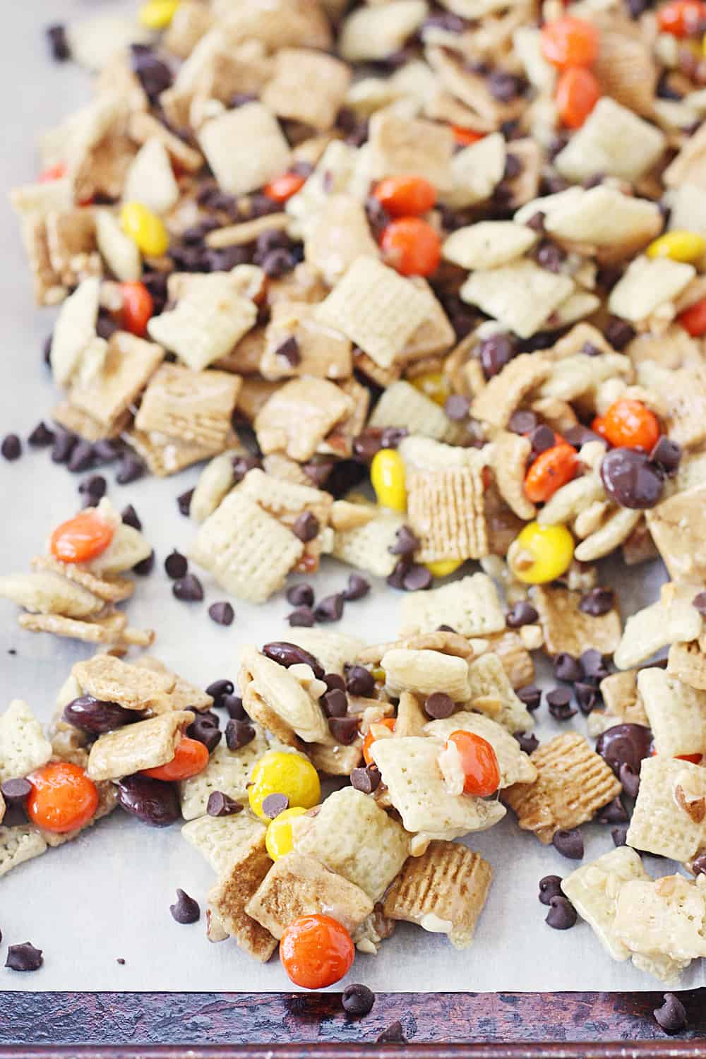 Easy Harvest Chex Mix - Getting your harvest Chex mix fix is easier than you think. Thanks to this easy recipe, that sweet, peanut-buttery fall Chex mix is only a few minutes away! #chex #chexmix #harvestchexmix #fallchexmix #peanutbutter #easyrecipe #easydessert #dessert #sweet #halfscratched #CreatewithKaro #KaroSyrup #Recipeideas #ad