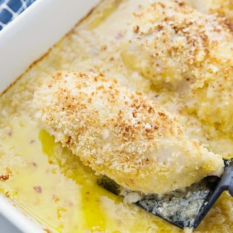Easy Swiss Cheese Chicken - This Swiss cheese chicken recipe is an easy weeknight meal! Chicken breasts are covered in a creamy sauce and cheese and topped with crispy bread crumbs. #chicken #swisscheese #chickenbake #chickencasserole #halfscratched #chickenrecipe #swisschicken #maindish #easyrecipe #savory