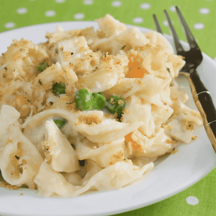Pioneer Woman Chicken Noodle Casserole