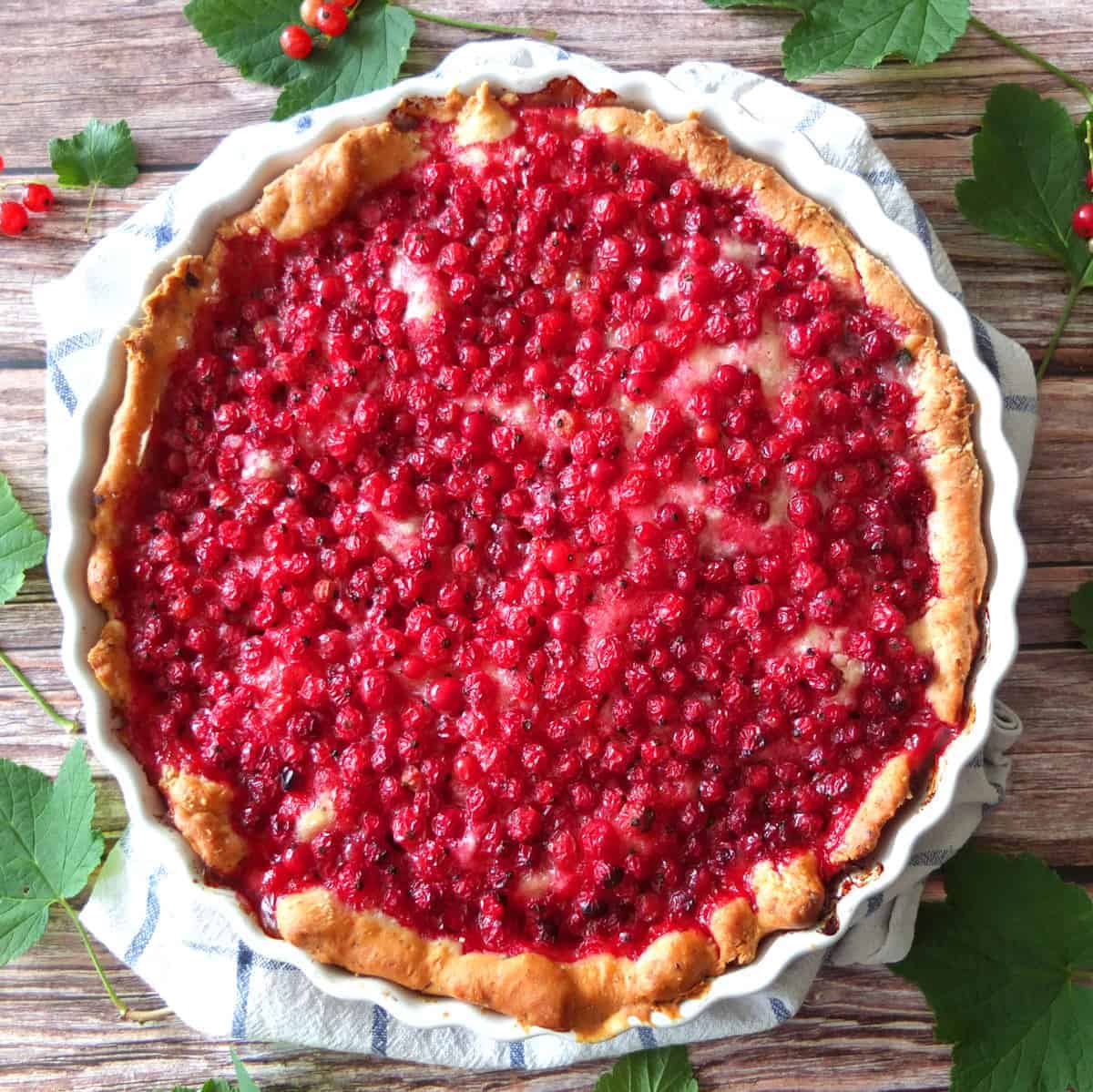 German Red Currant Cake