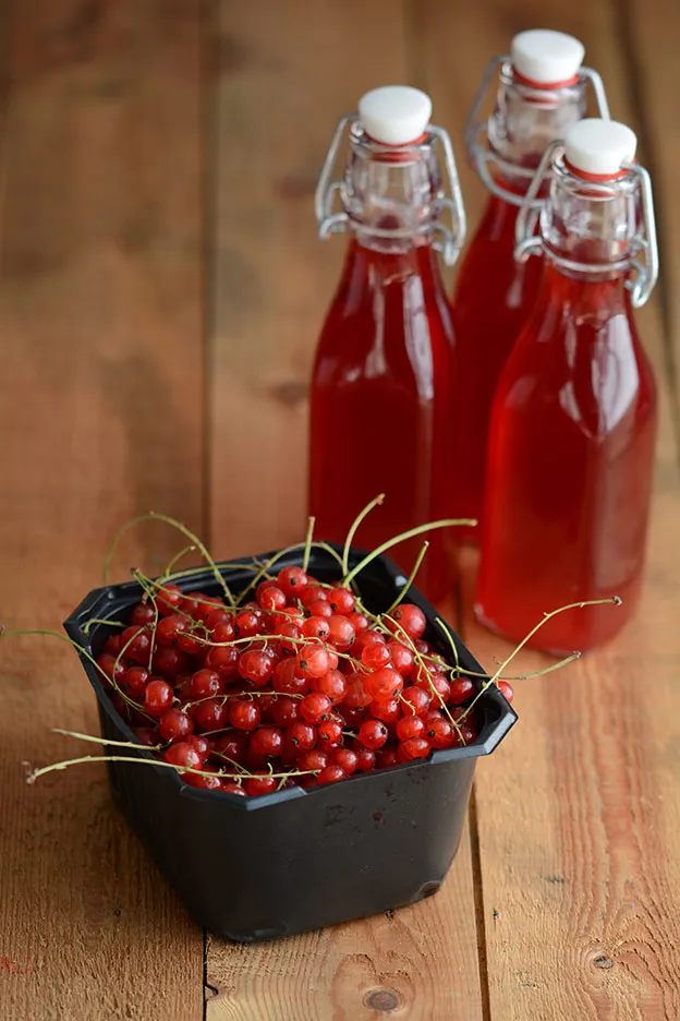 Red Currant Cordial