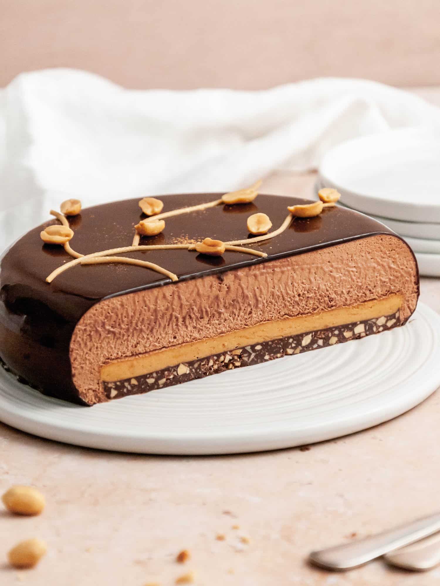 Peanut Butter and Dark Chocolate Mousse Cake