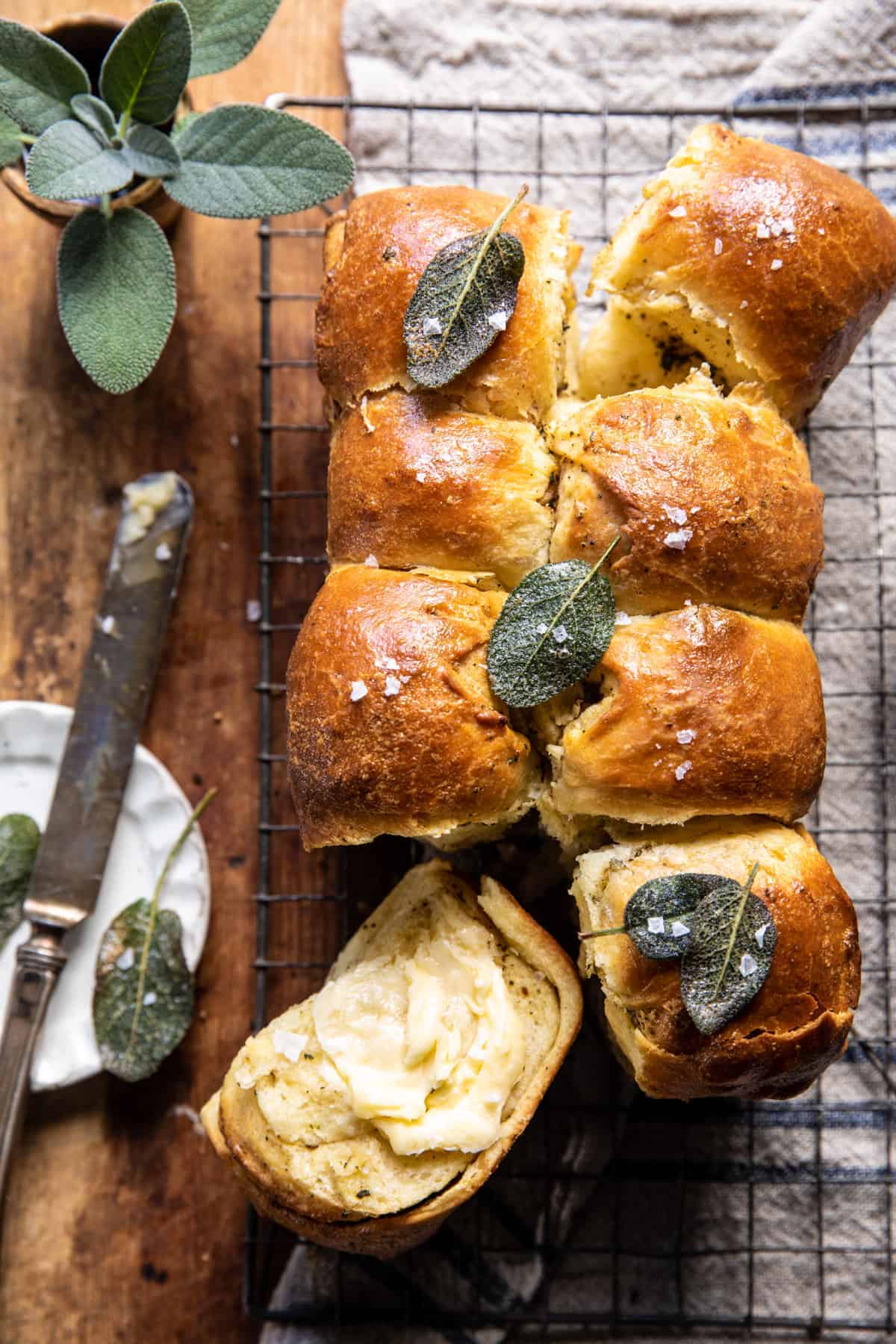 Pull-Apart Parmesan Sage Butter Brioche Rolls