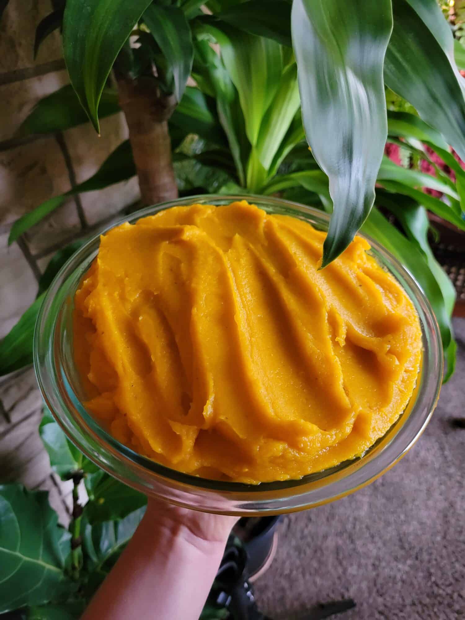 Roasted Blue Hubbard Squash Puree