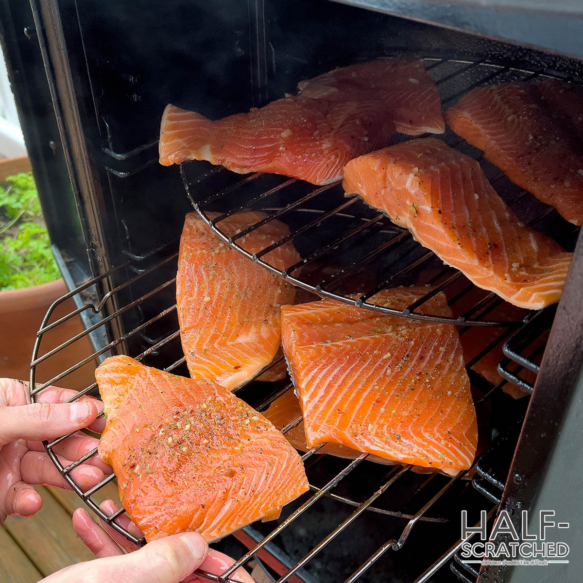 Placing salmon filets into smoker on racks