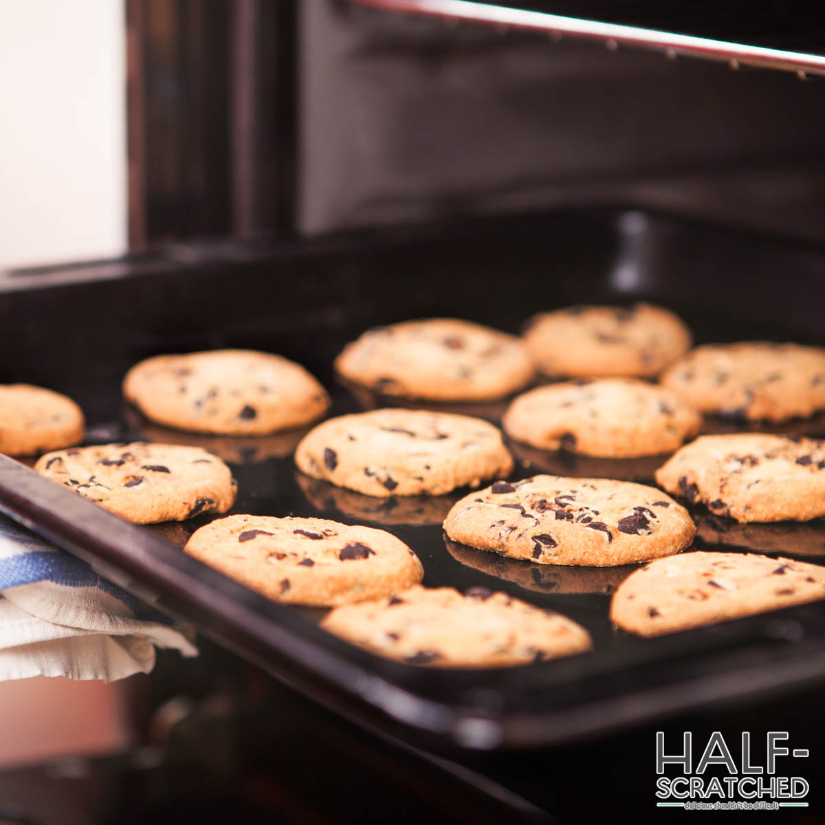 Chocolate drop cookies fresh from the 350F oven