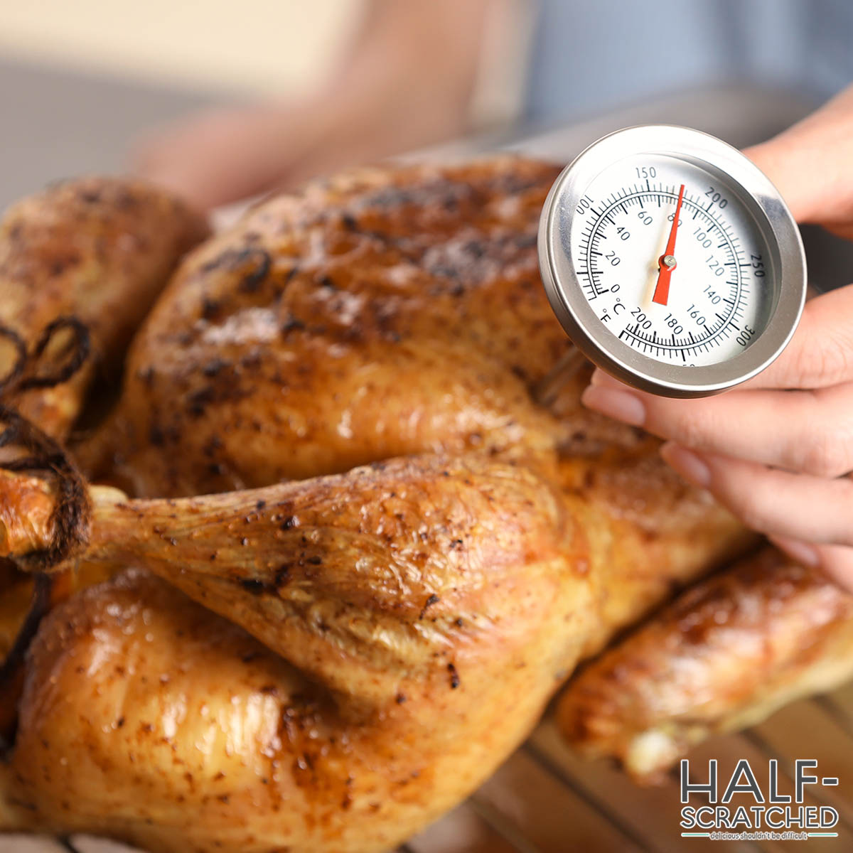 Turkey with a thermometer