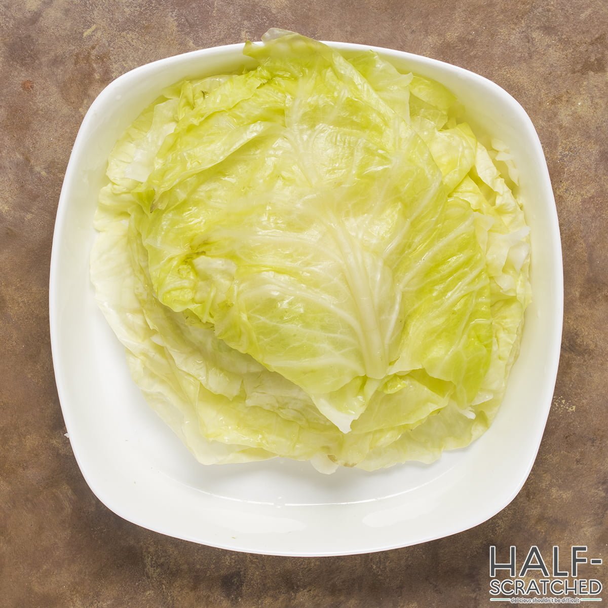 selected cabbage leaves
